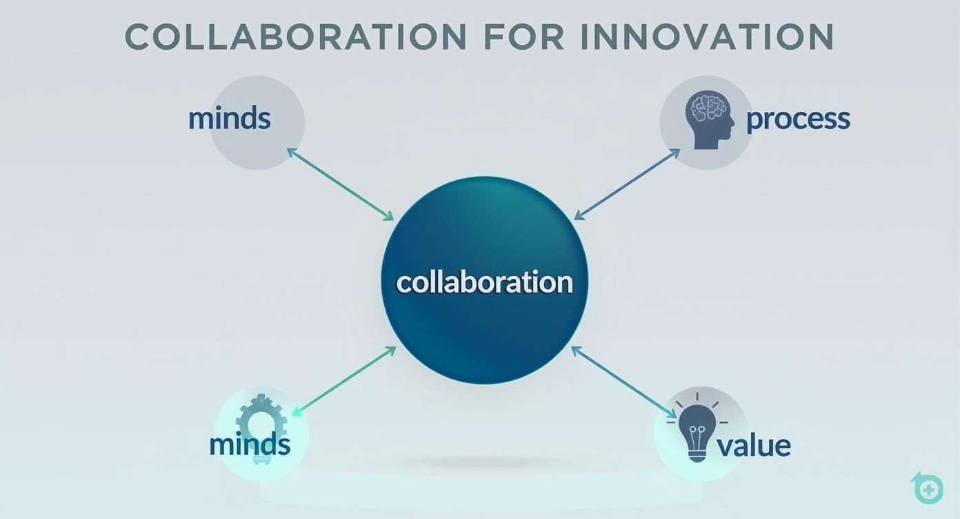 Infographic about collaboration for innovation