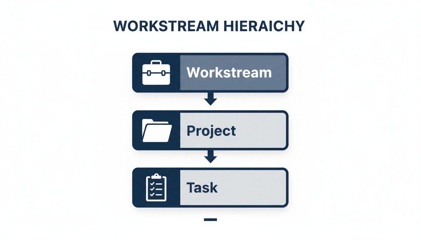 A diagram illustrates the workstream hierarchy, categorizing Workstream, Project, and Task levels.
