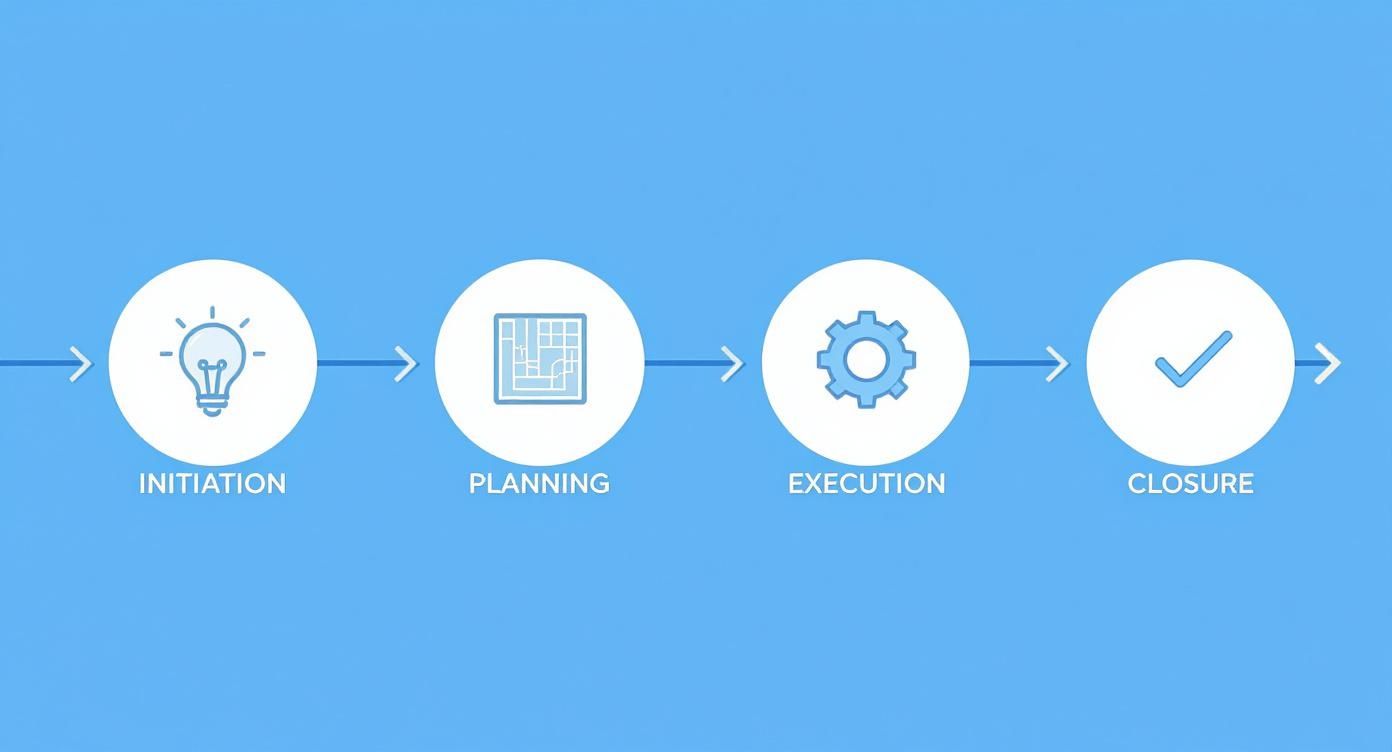 Infographic about key milestones of a project