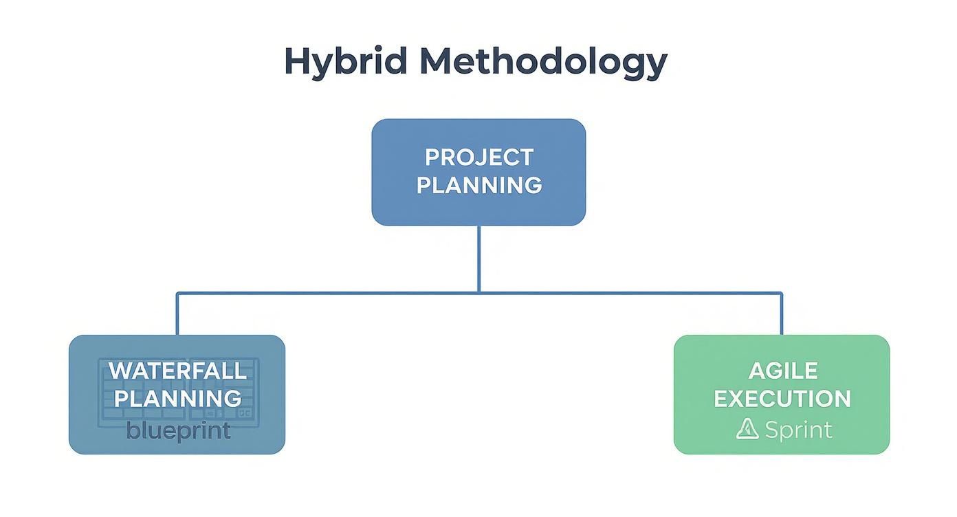 Infographic about project development methodology