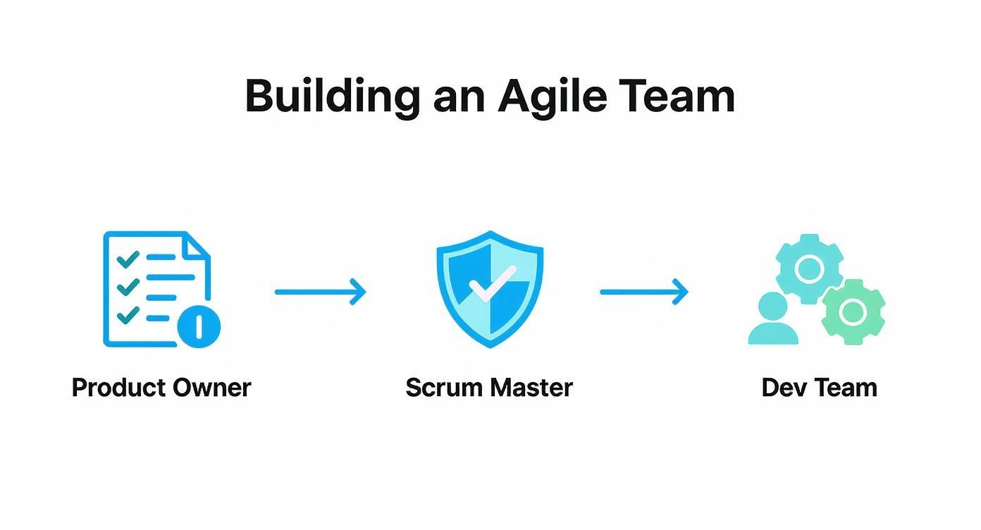 Infographic about project management using agile methodology