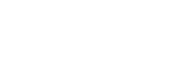 Pioneer Post